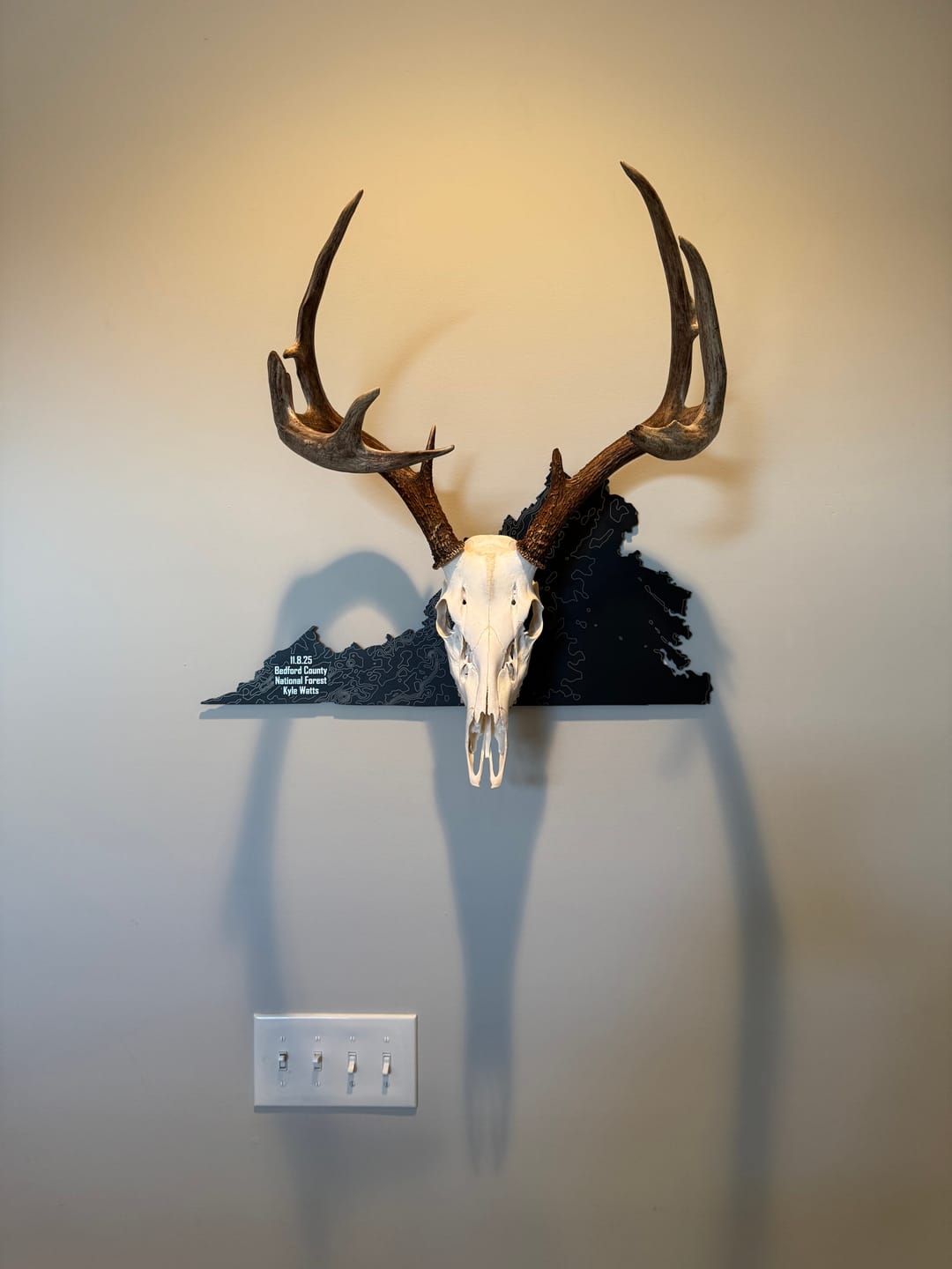 Customer photo review of Medium Game Plaques