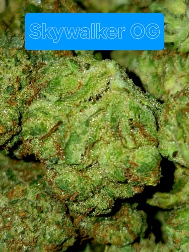 Customer photo review of Skywalker OG - 28 Grams - Indica
