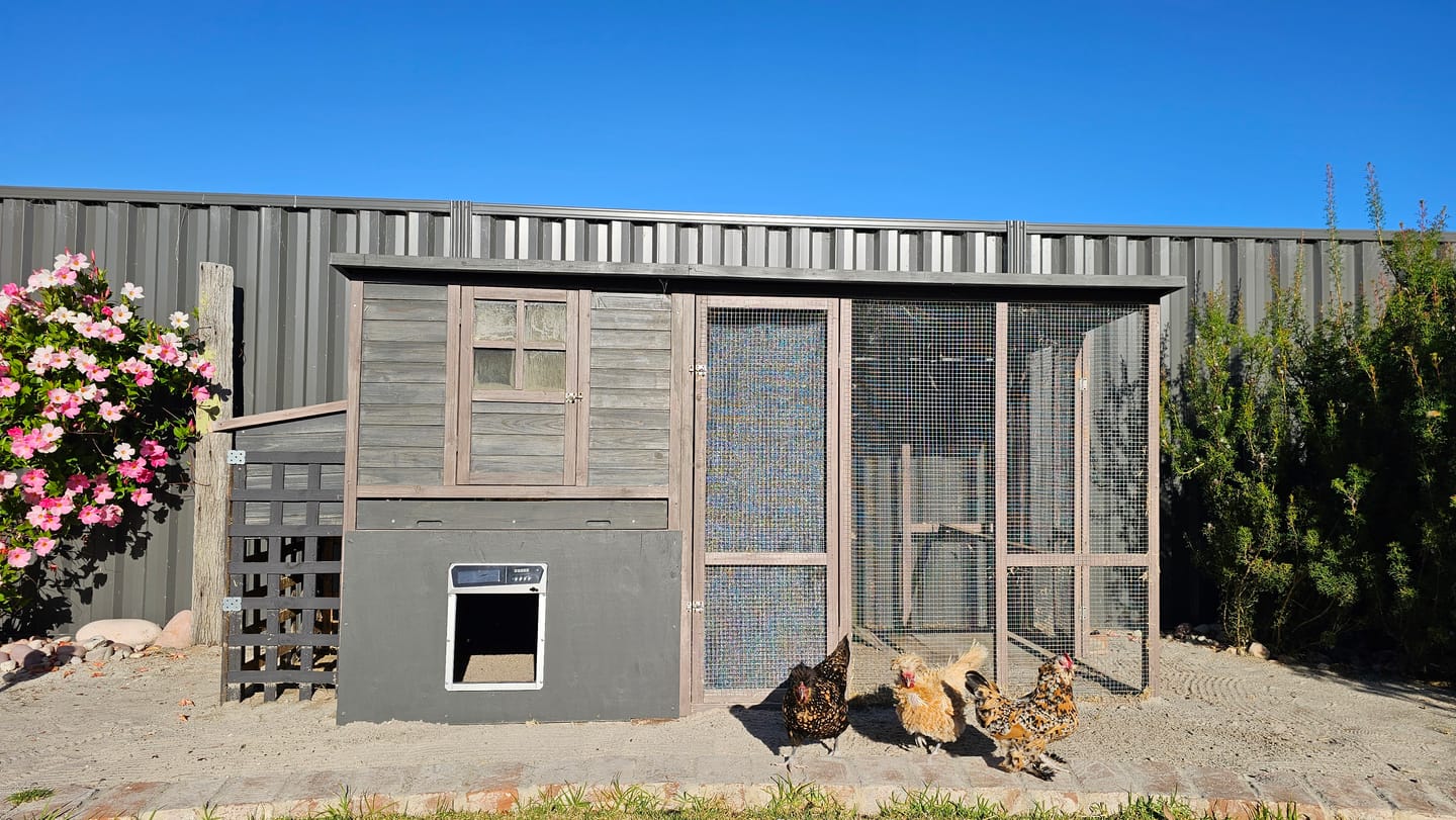 Customer photo review of Solar Powered Automatic Chicken Coop Door with APP Control