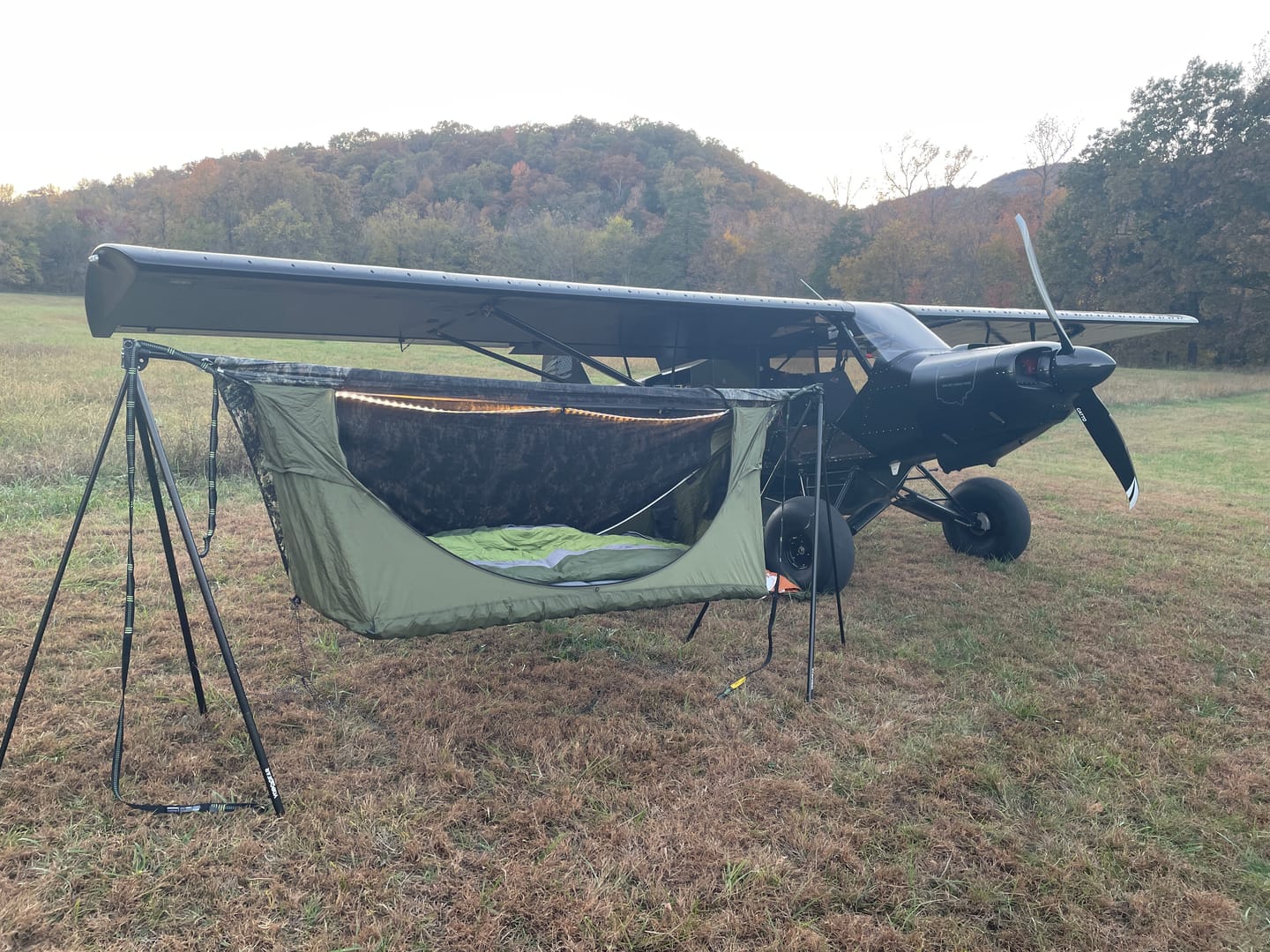 Customer photo review of Haven Safari