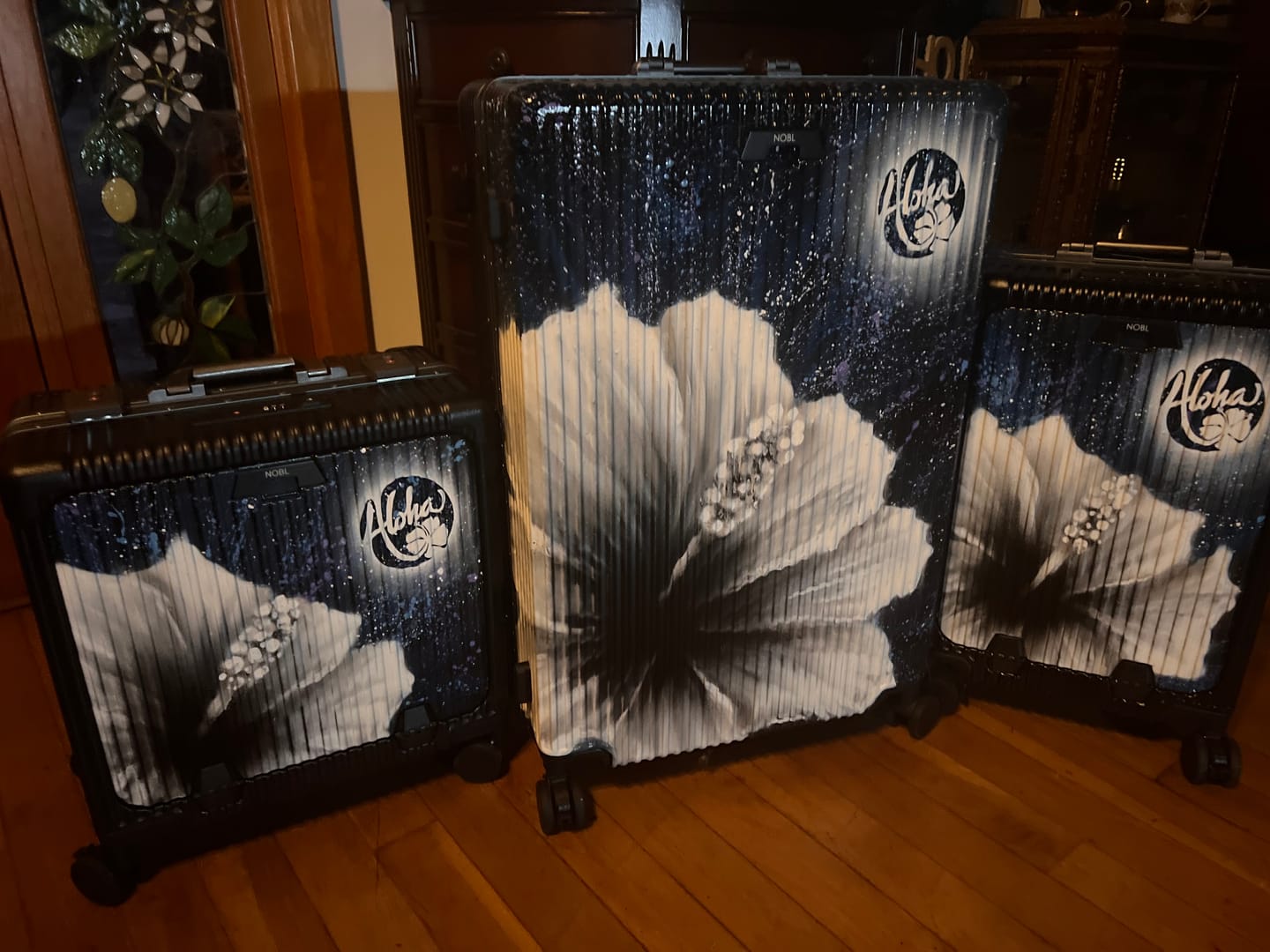 Customer photo review of Compressible Packing Cubes (6 Pieces)