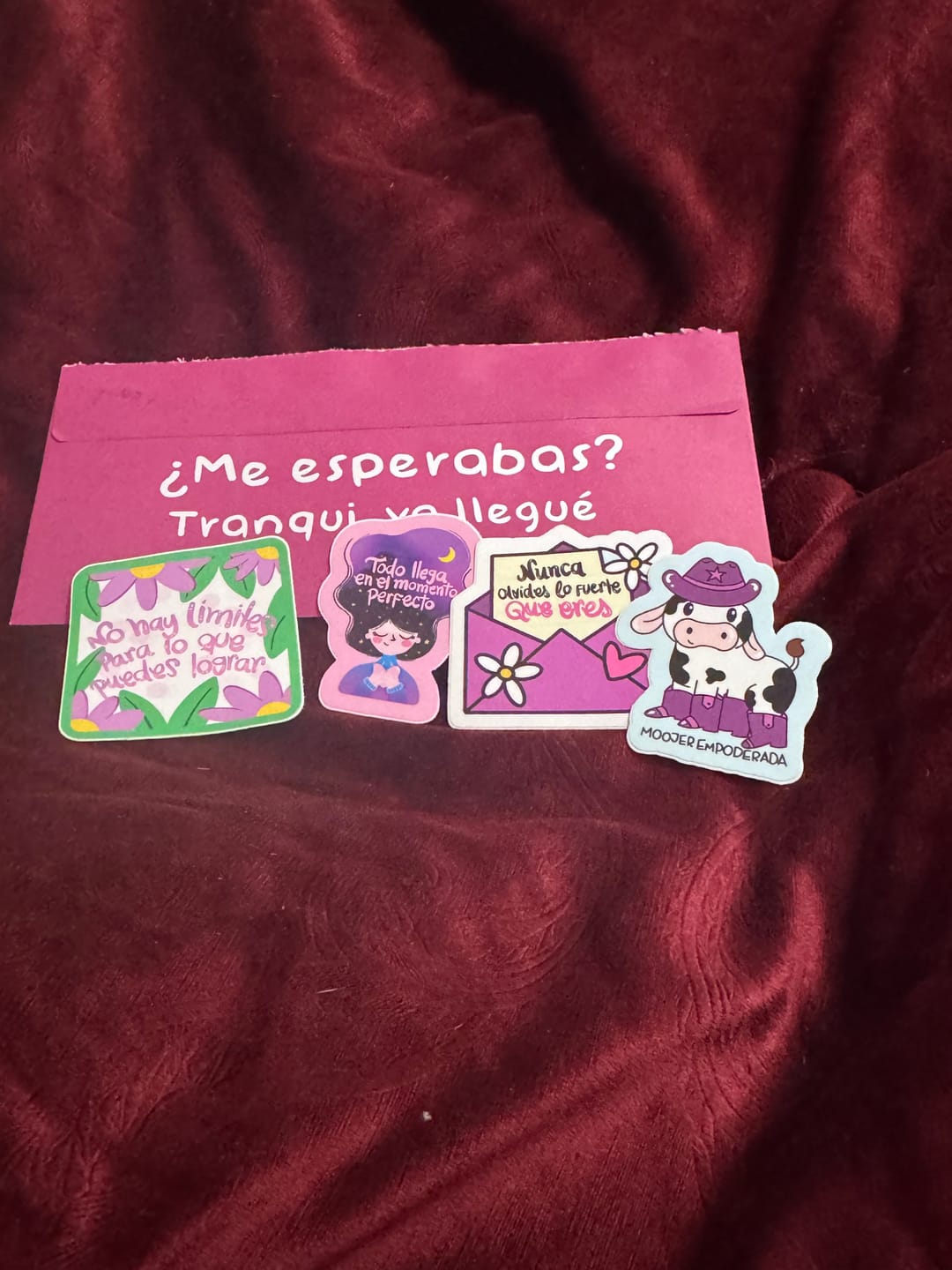 Customer photo review of Somos Mujeres Sticker Pack