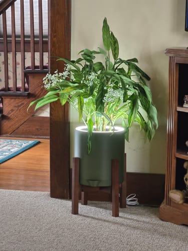 Customer photo review of Aura | Medium Round LED Planter - Charcoal Black
