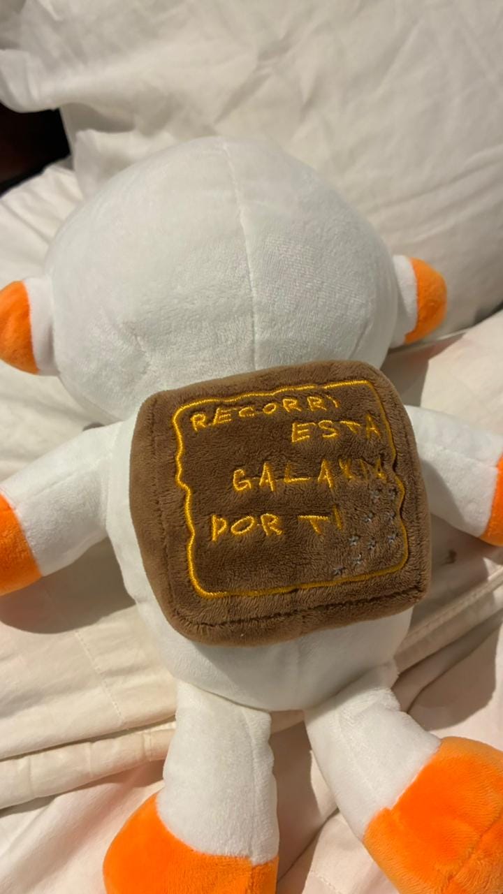 Customer photo review of Peluche Ivan Cornejo