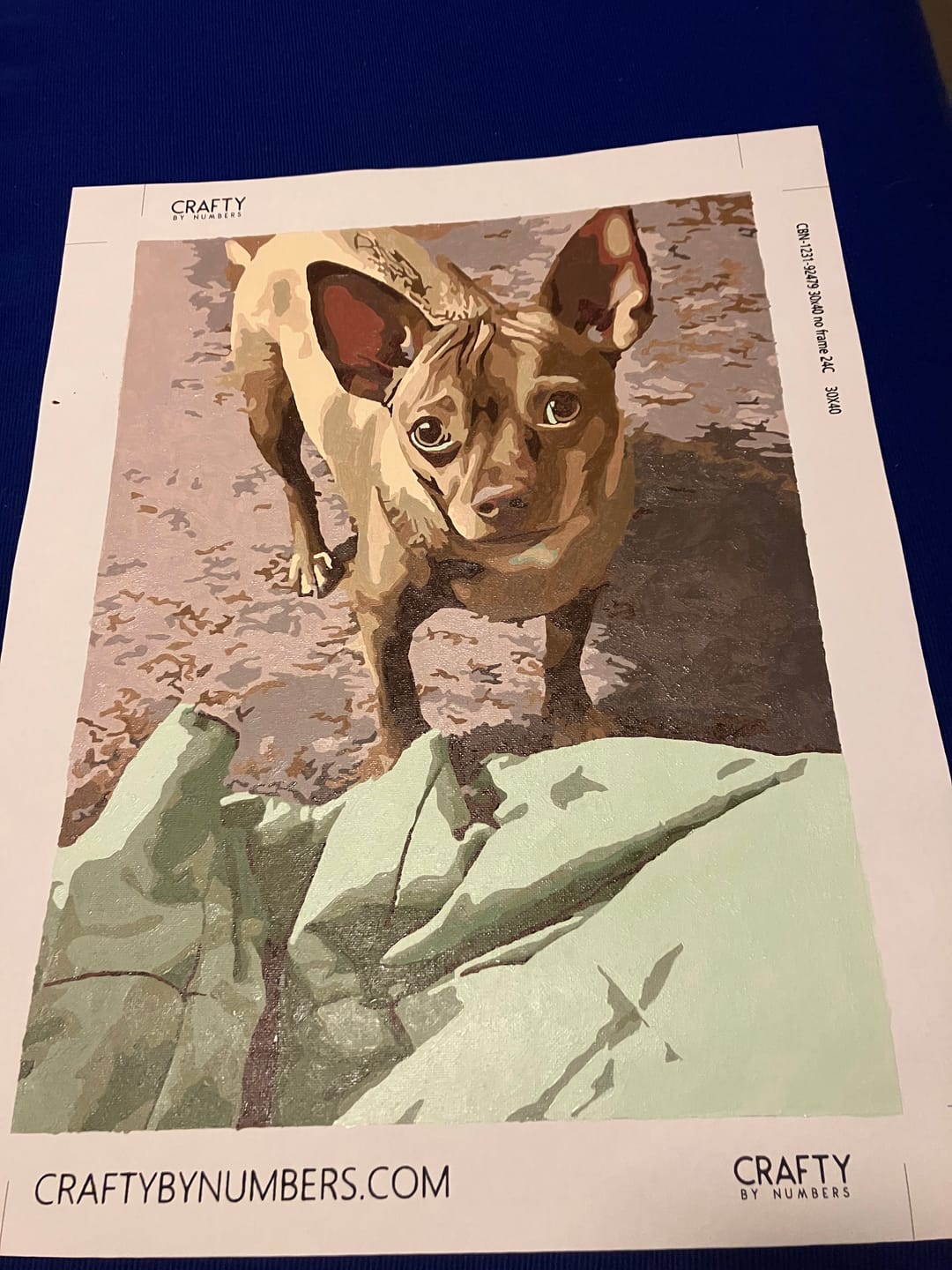 Customer photo review of Custom Paint by Numbers Kit