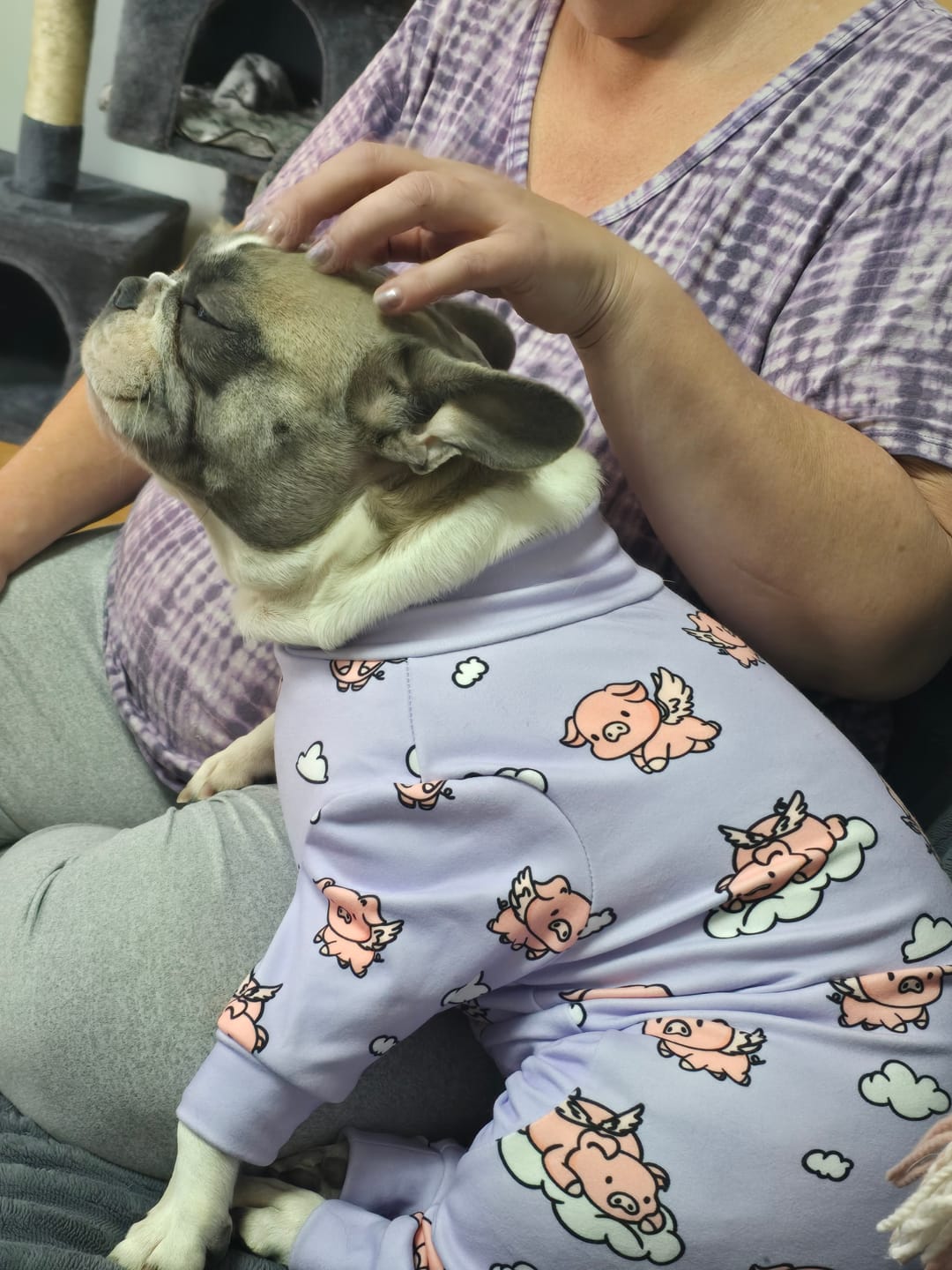 Customer photo review of Dog Pajama - Cookies and Milk