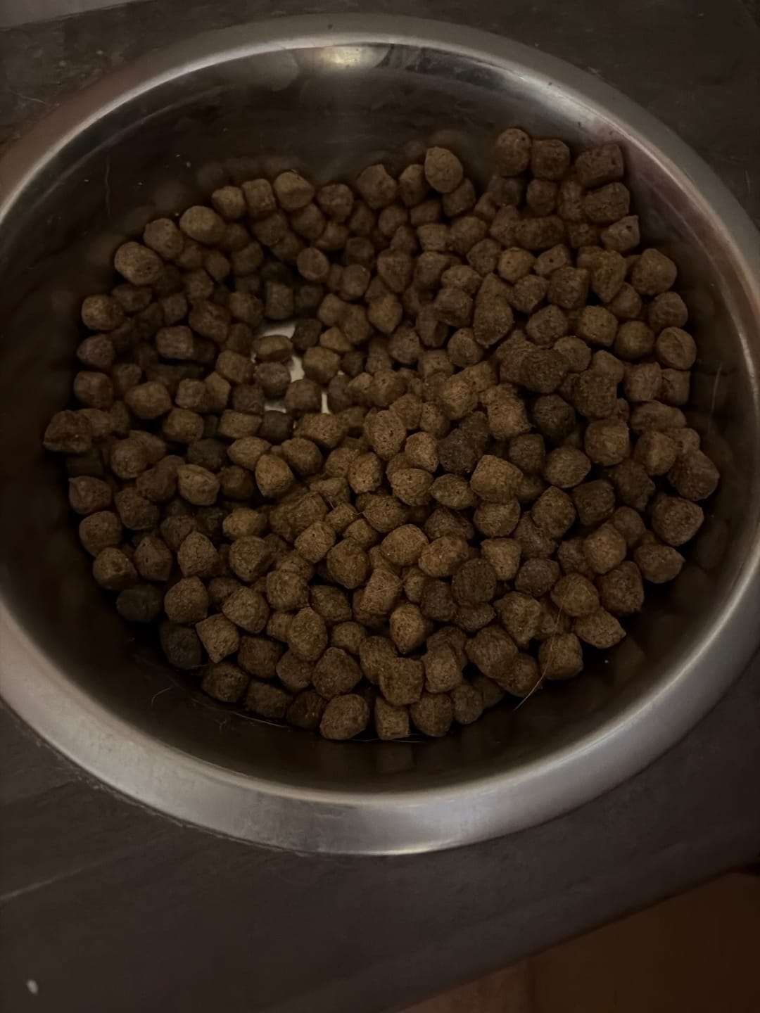 Customer photo review of Horizon Pulsar - Nourriture sans grains pour chien