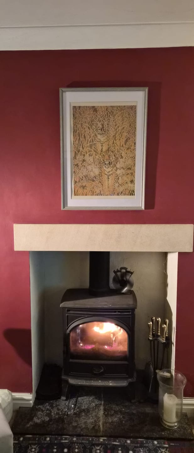 Customer photo review of Camouflaged Tigers by Toshi Yoshida, 1985