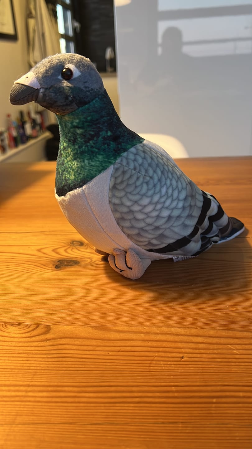 Customer photo review of Common Pigeon Bird Soft Stuffed Plush Toy