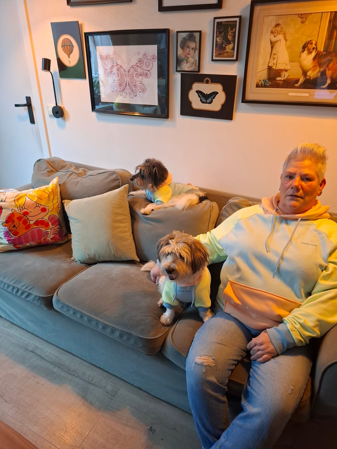 Customer photo review of Jelly Bean Dog Hoodie