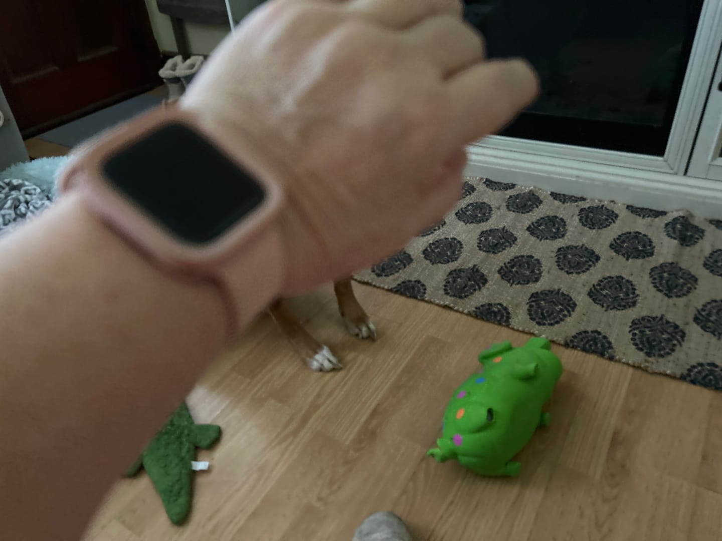 Customer photo review of FlexiFit™ Protective Case