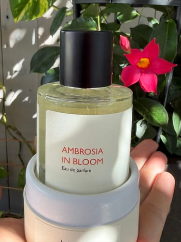 Reviewer holding the Ambrosia in Bloom perfume bottle in its open packaging, with a bright pink flower nearby.