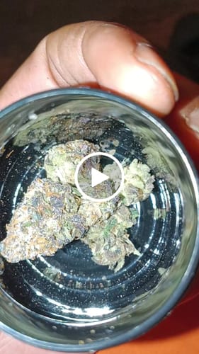 Customer video review of White Runtz - Bulk - Hybrid