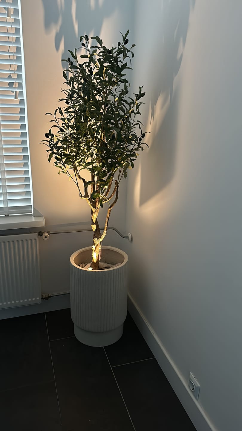 Customer photo review of Kunst Olijfboom 150cm