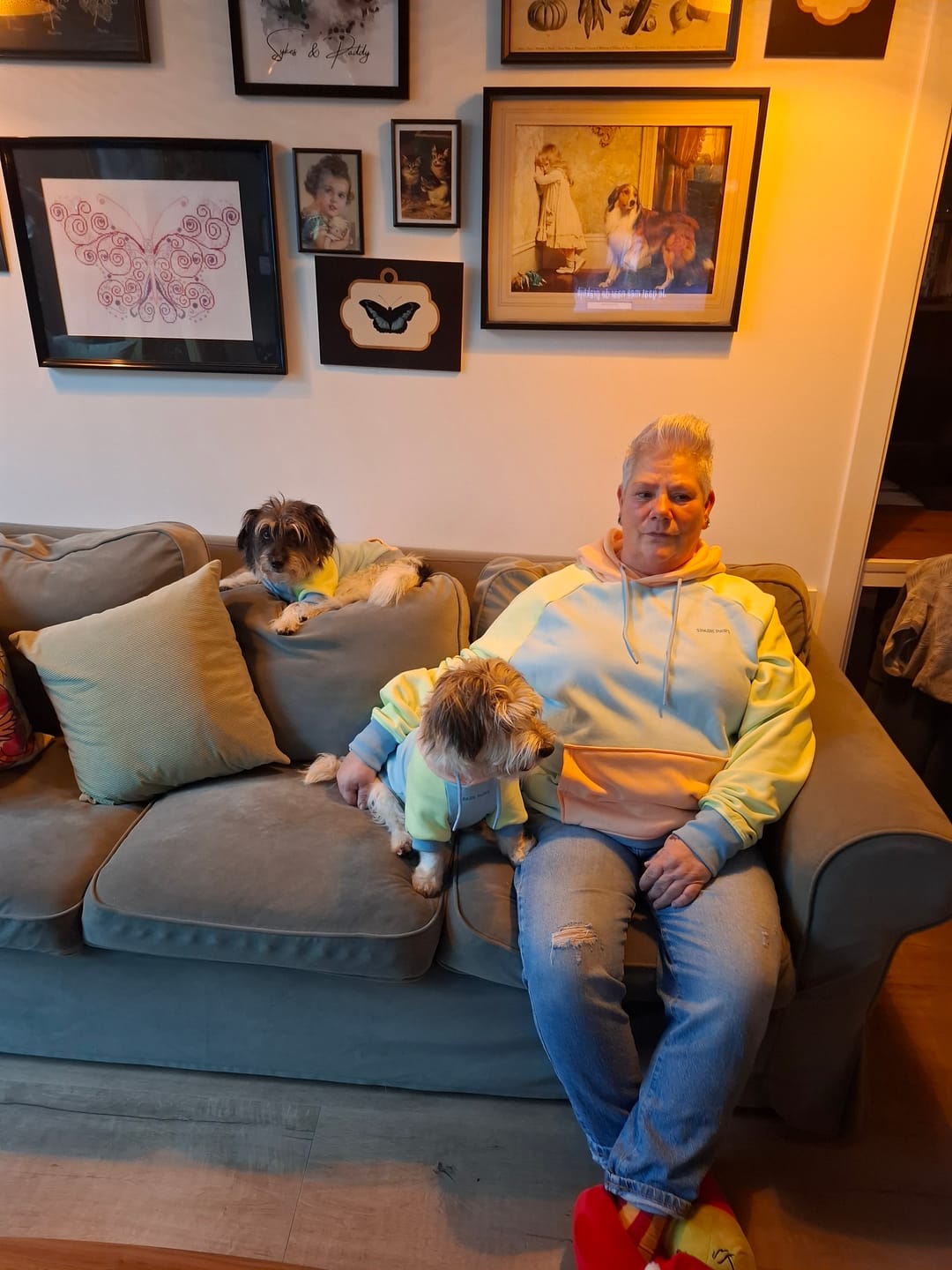 Customer photo review of Jelly Bean Dog Hoodie