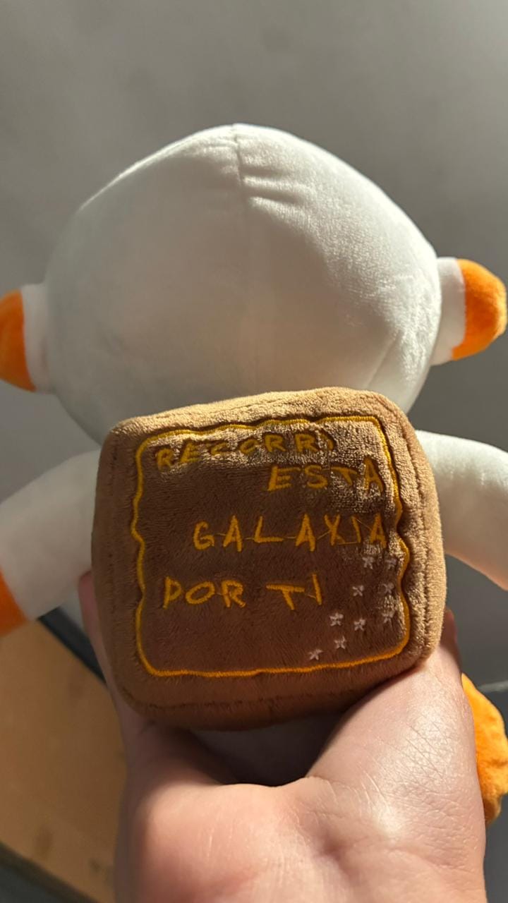 Customer photo review of Peluche Ivan Cornejo