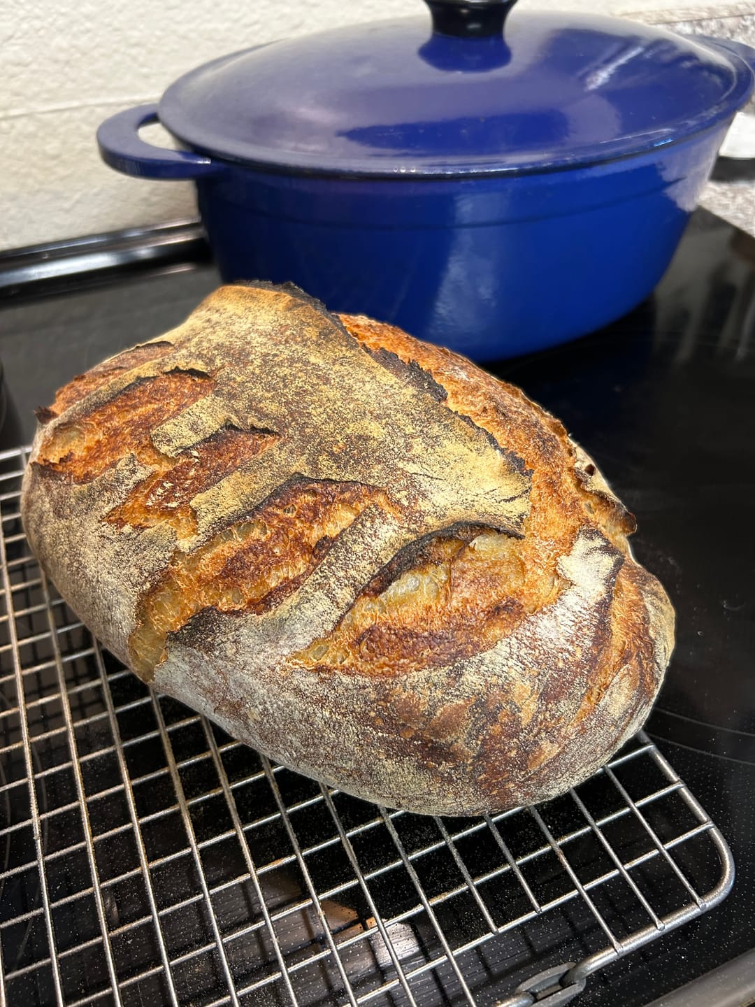 Customer photo review of The Ultimate Sourdough Gift Box Set