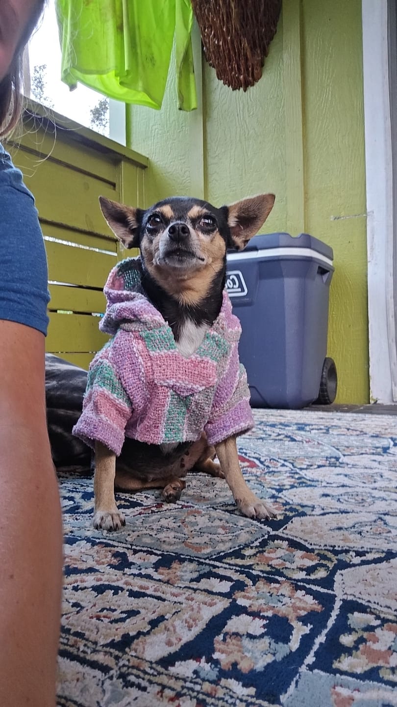 Customer photo review of Playa Poncho – Mystery Color (Bella, Charlie, or Fun Edition)