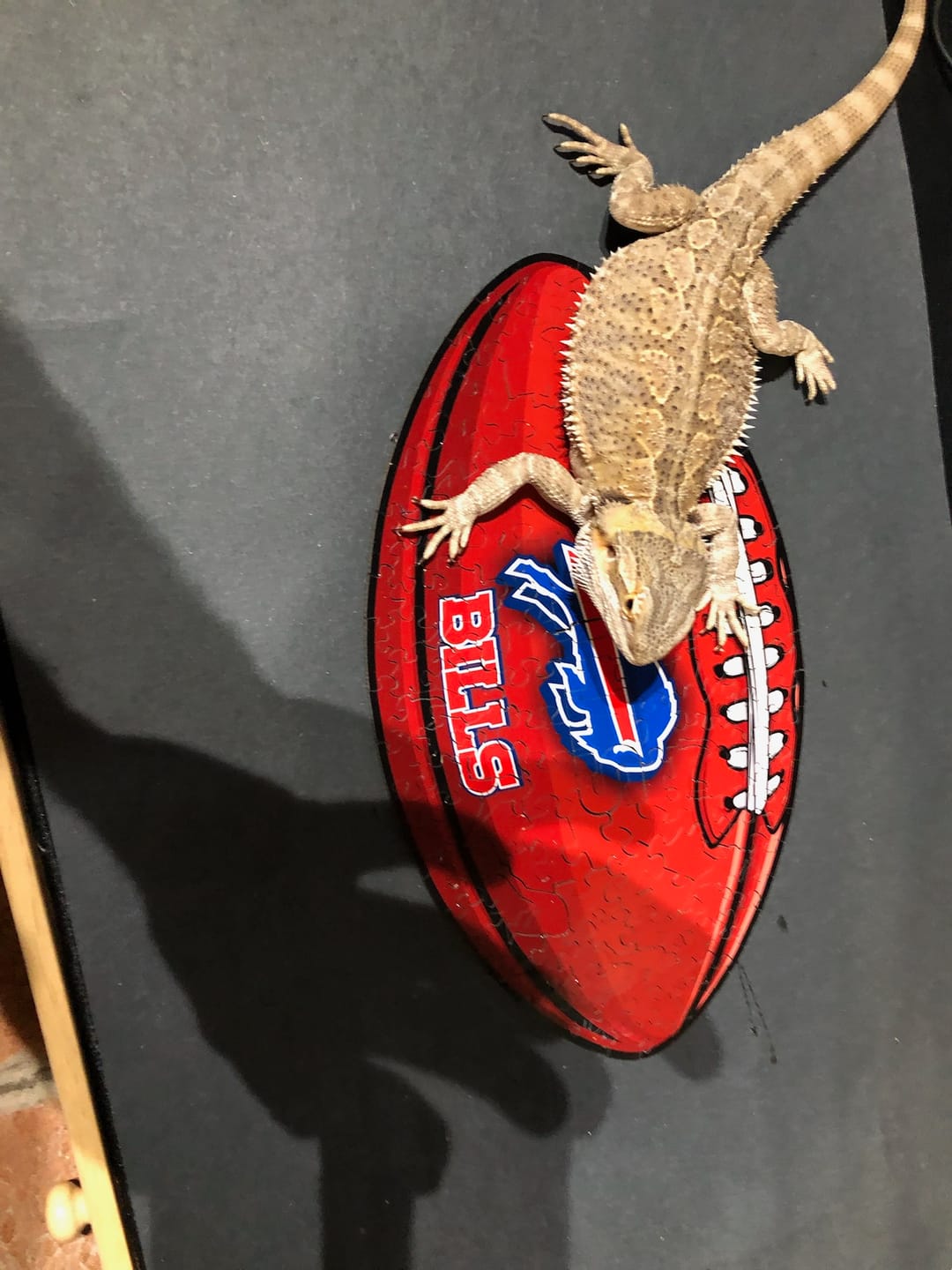 Customer photo review of Buffalo Bills™ Football - Wooden Puzzle