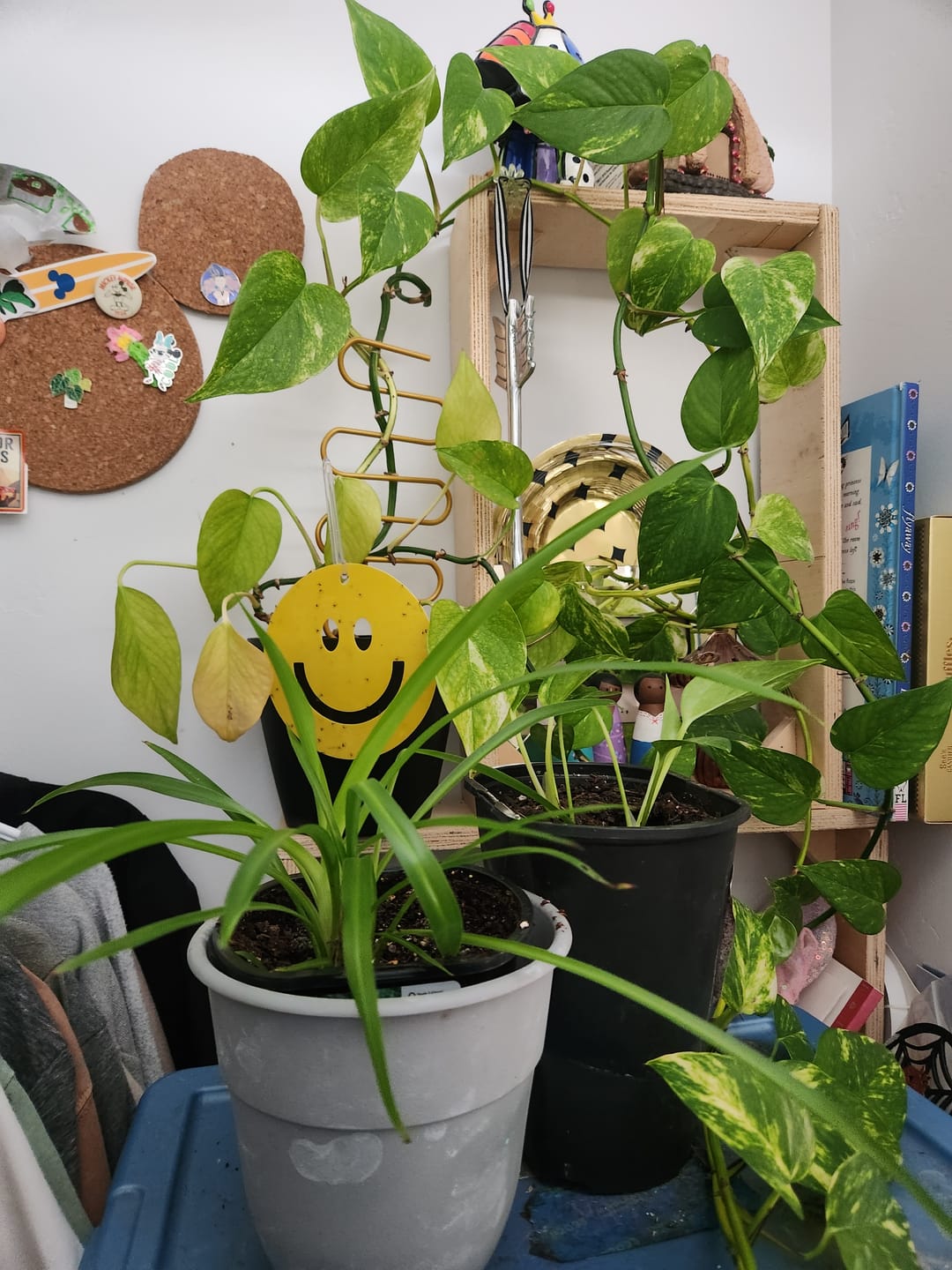 Customer photo review of Killer Smiles