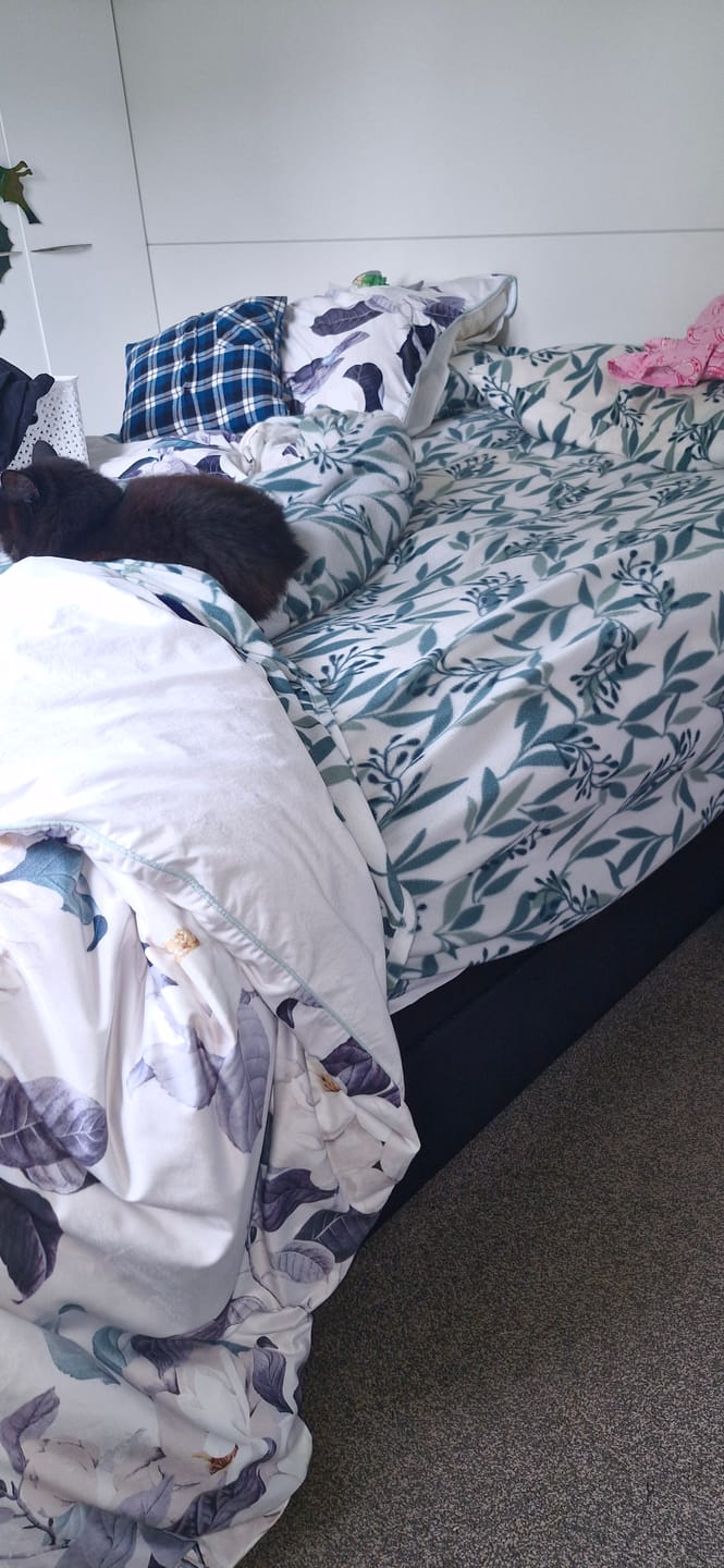 Customer photo review of Muscle Mat Luxury Mattress Topper