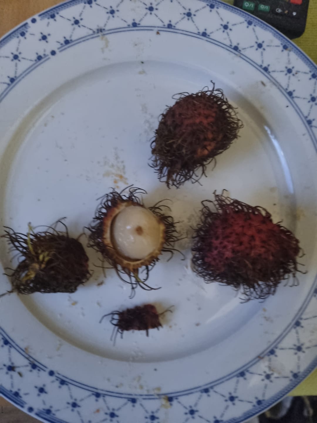 Customer photo review of Rambutan naturbelassen