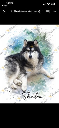 Customer photo review of Your Dog as Watercolor Portrait