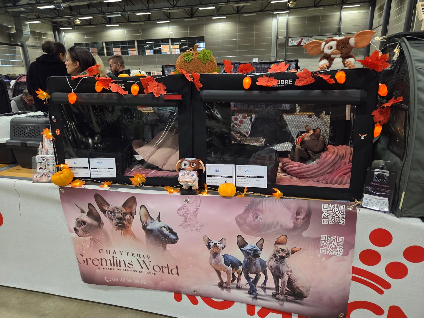 Customer photo review of Cage d'exposition pliable (Chat)