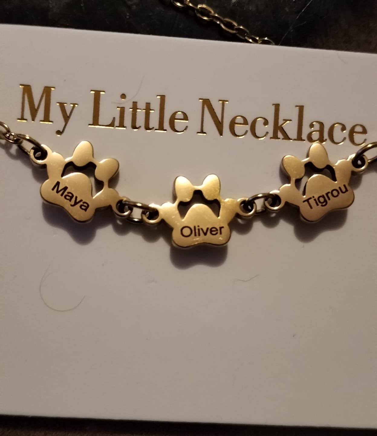 Customer photo review of Bracelet Pattes Personnalisables