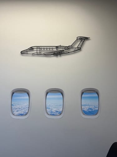 Customer photo review of King Air F90  Angle Silhouette Metal Wall Art