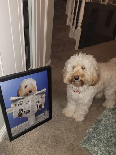 Customer photo review of Important meeting - Personalised Poster