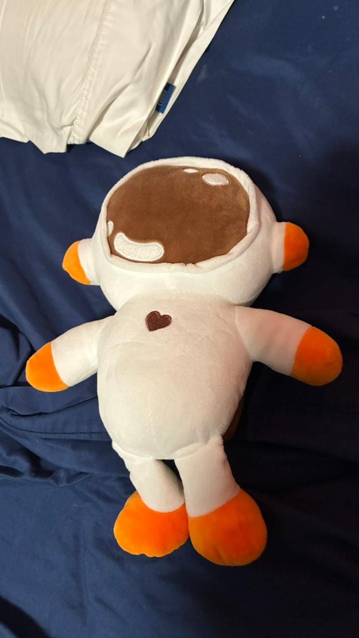 Customer photo review of Peluche Ivan Cornejo
