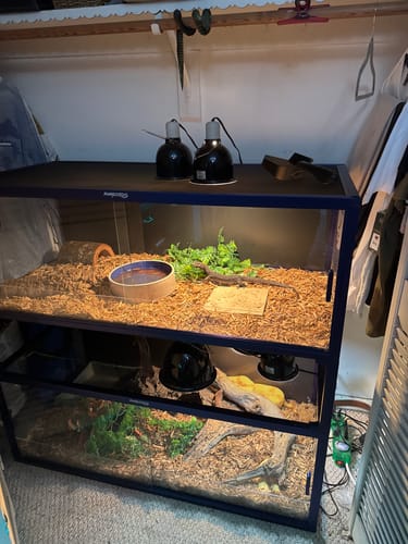 Customer photo review of 85 Gallon Snake Enclosure 48''x24''x18''