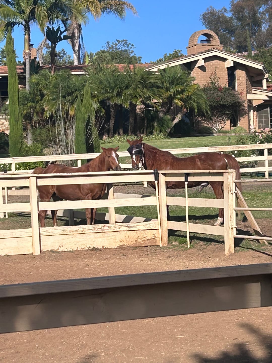 Customer photo review of Recovery Vizor - Dark UV Tint