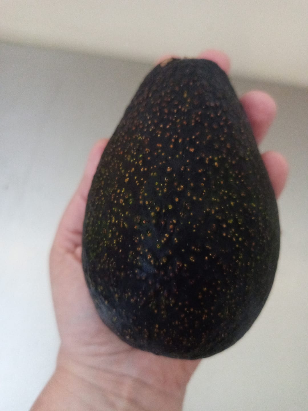 Customer photo review of 10 kg Palta Hass Chilena