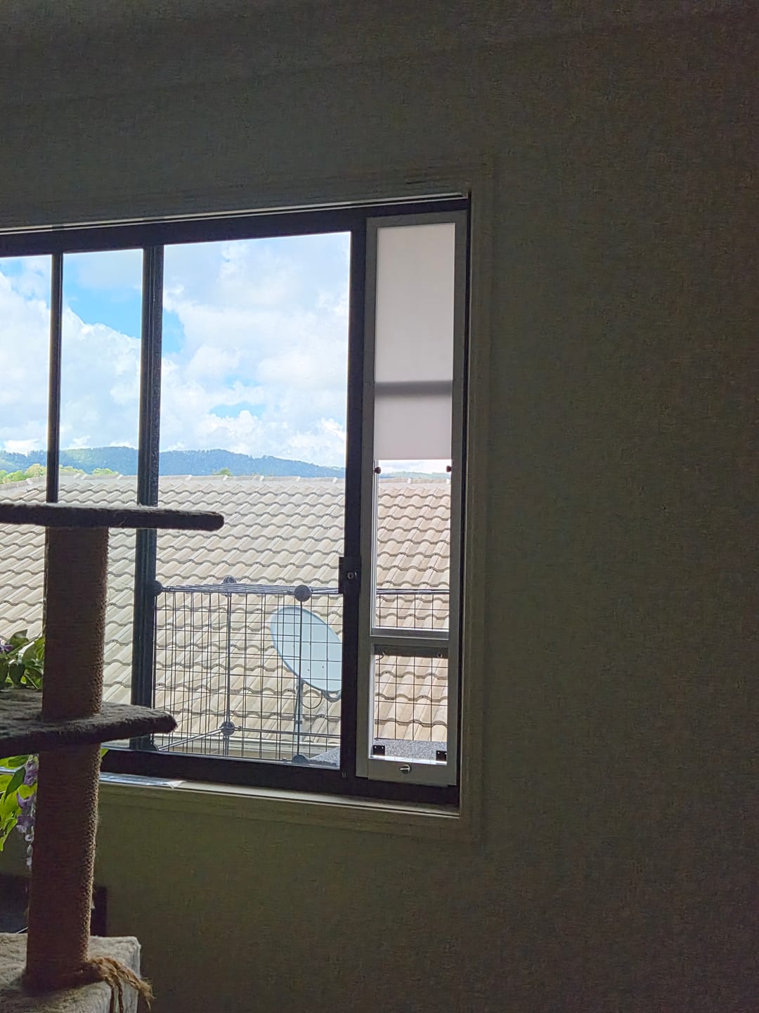Customer photo review of Cat Door, Cat Window Insert