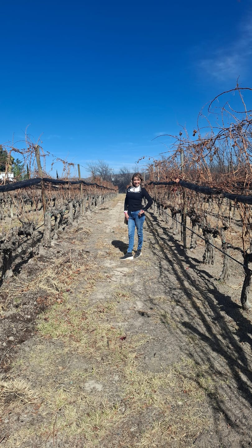 Customer photo review of Crea Tu Vino