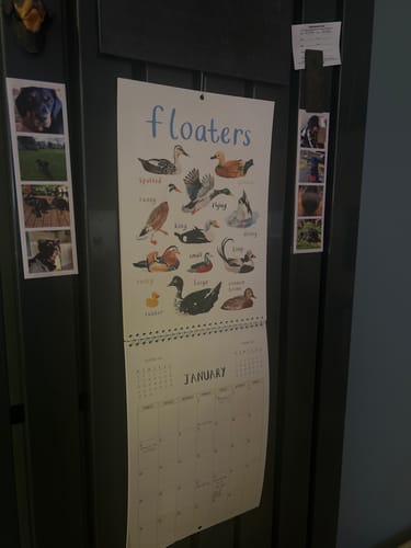 Customer photo review of 2026 'For The Pun Of It' Cheeky Wall Calendar