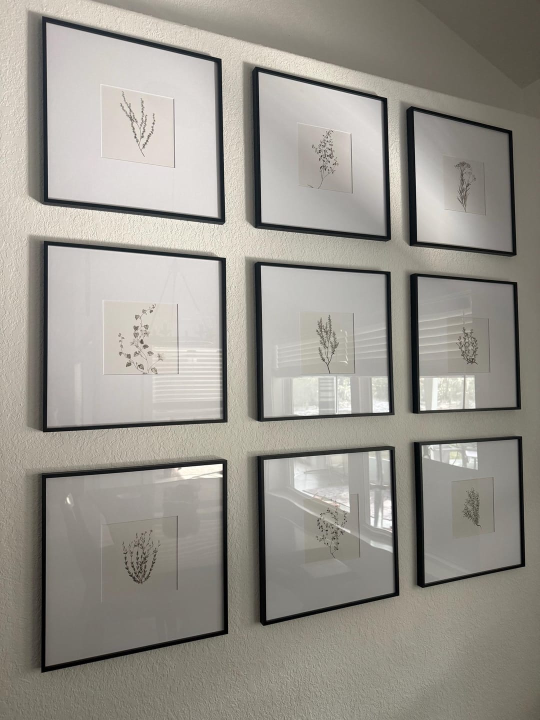 Customer photo review of Botanical Wall Art Set of 9. Vintage Herbal Plant Prints