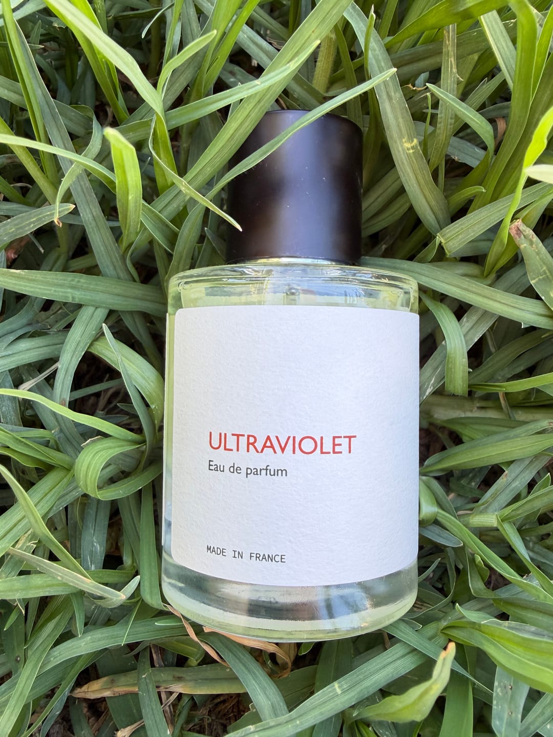 Customer photo review of Ultraviolet
