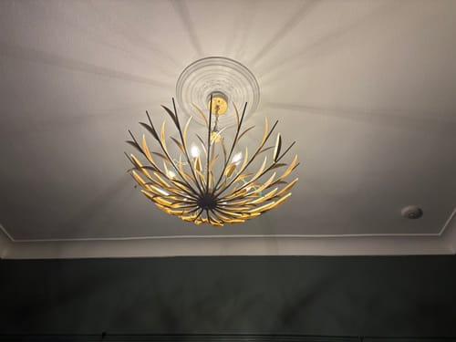 Customer photo review of Modern Brass Branching Basin Chandelier
