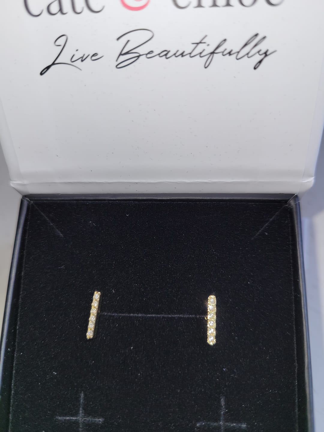 Customer photo review of Hayden 18k White Gold Plated Linear Stud Earrings with Swarovski Crystals