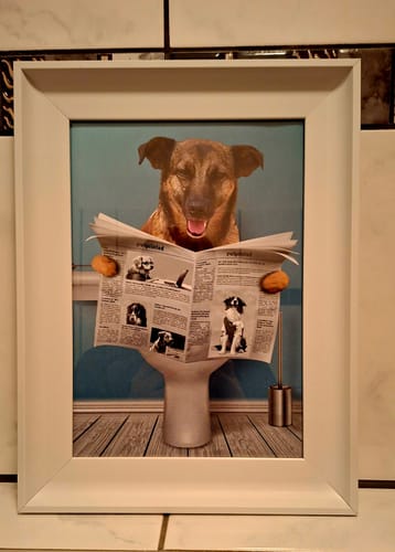 Ein Kunde zeigt das gerahmte „Wichtige Sitzung“-Poster mit einem lustigen Hund, der auf der Toilette eine Zeitung liest.
