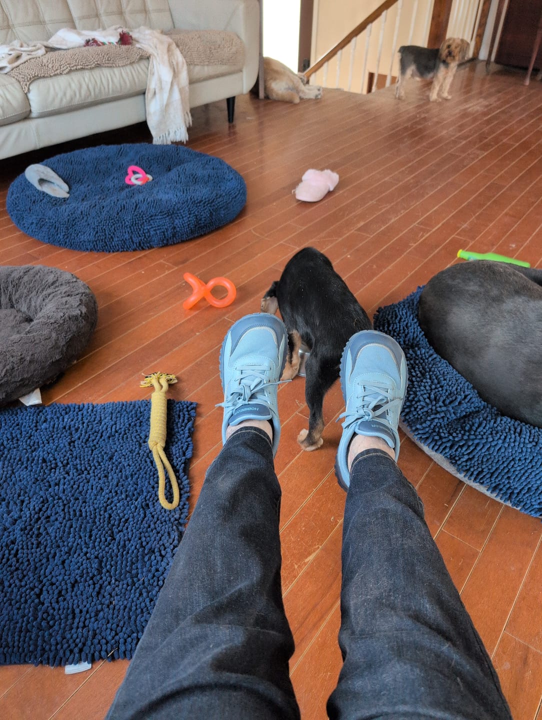 Customer photo review of Vale - Wide Toe Sneakers