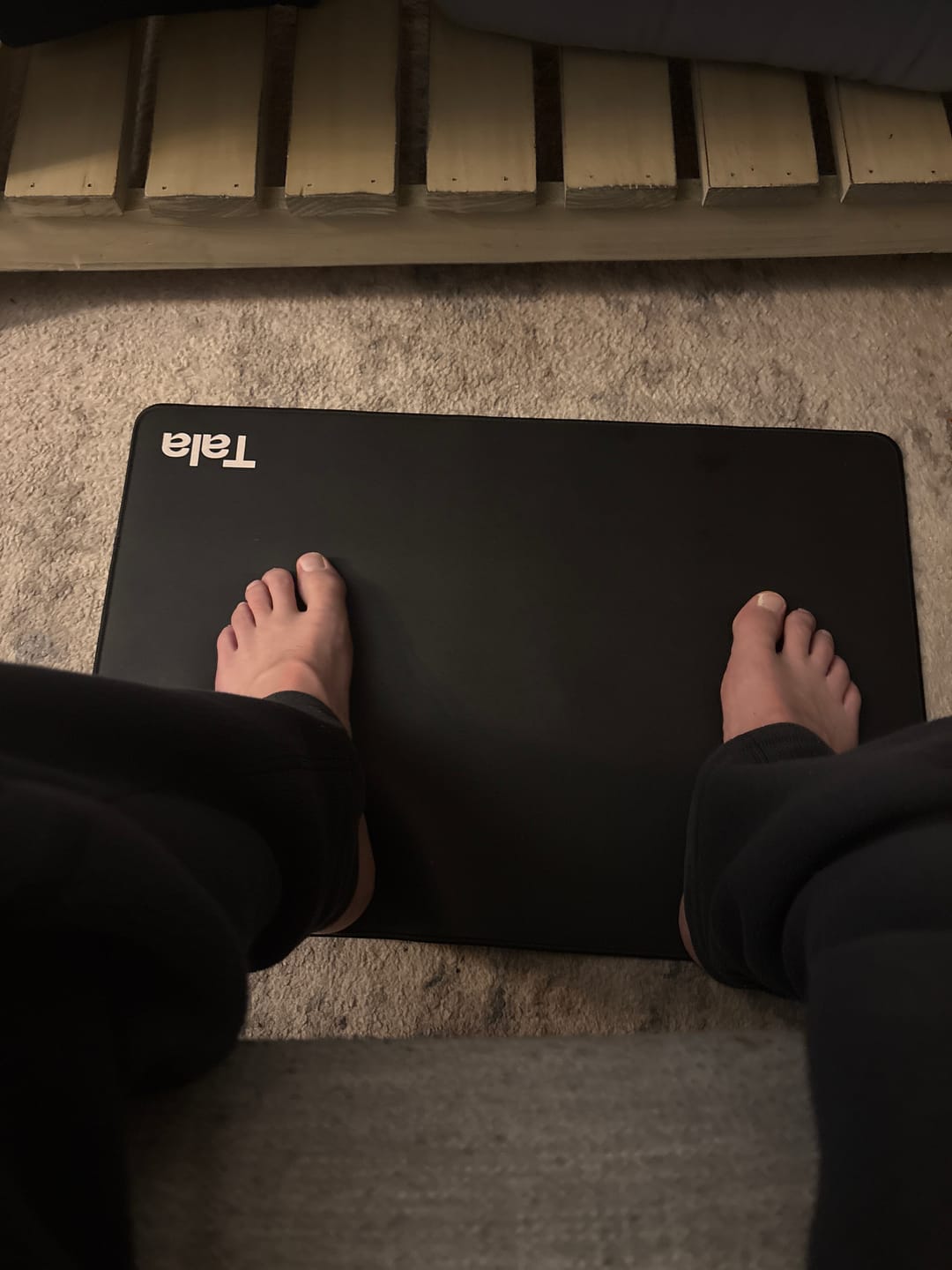 Customer photo review of Grounding Mat