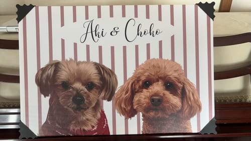 Customer photo review of オーダーメイド クッション