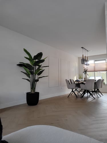 Customer photo review of Strelitzia Kunstplant 180cm