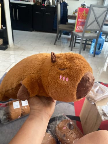 Customer photo review of Long Sleepy Capybara Plush Pillow