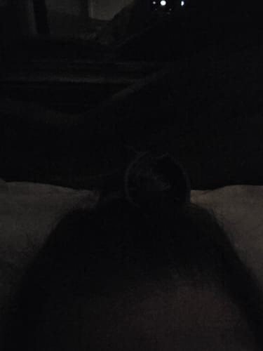 Partial view: Reviewer lying down in a dark room, with their hair held up by a clip.