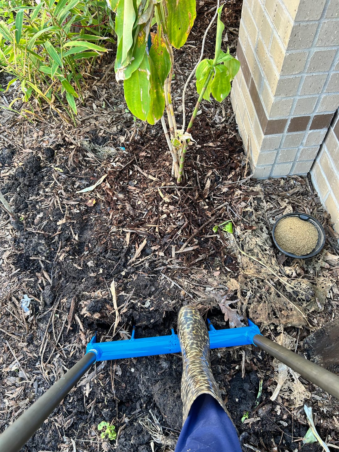 Customer photo review of Cultivator Treadlite Broadfork | 20" wide | 5 tines